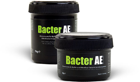 Bacter AE - Micro Powder